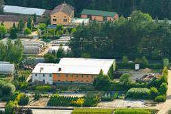 питомник деревьев кустарников, декоративных растений, многолетников